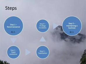 網絡安全實戰(zhàn) 從滲透測試到軟件開發(fā)的全方位能力提升